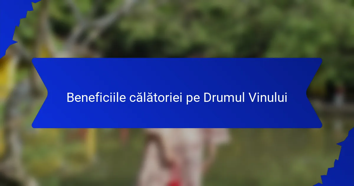 Beneficiile călătoriei pe Drumul Vinului