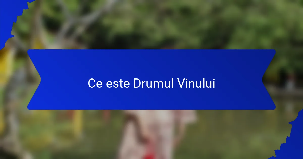Ce este Drumul Vinului