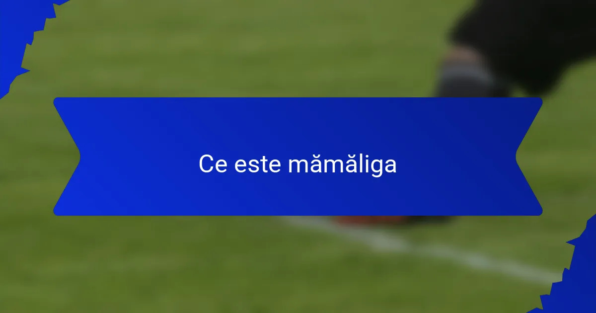 Ce este mămăliga