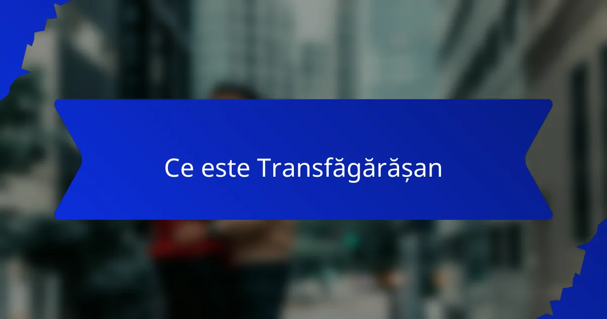 Ce este Transfăgărășan