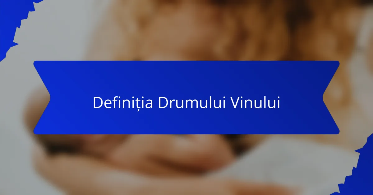 Definiția Drumului Vinului