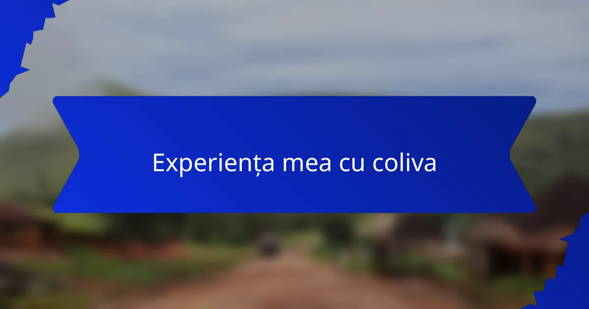 Experiența mea cu coliva