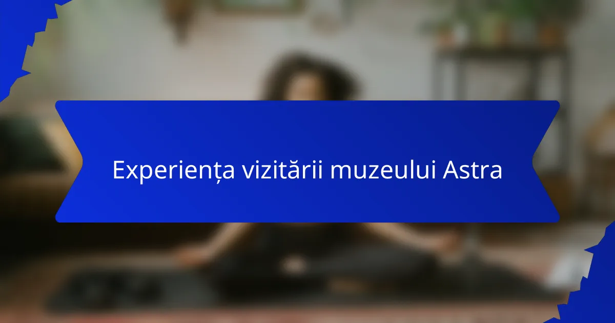 Experiența vizitării muzeului Astra