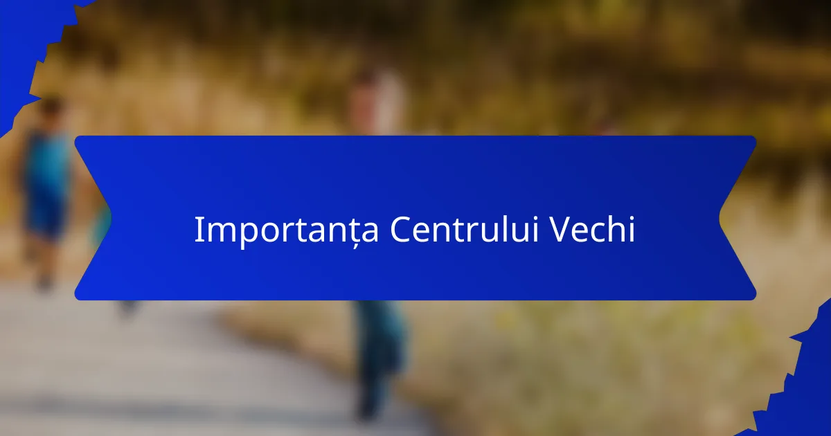 Importanța Centrului Vechi