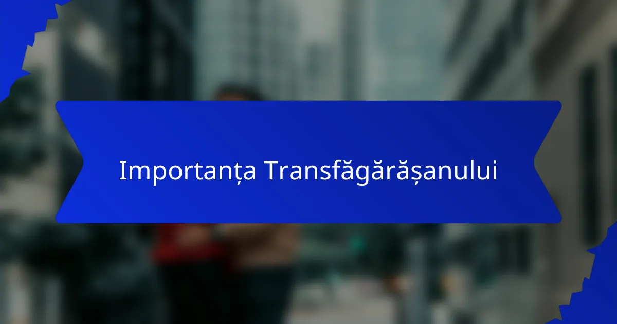 Importanța Transfăgărășanului