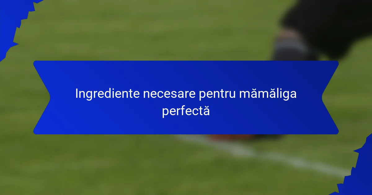 Ingrediente necesare pentru mămăliga perfectă