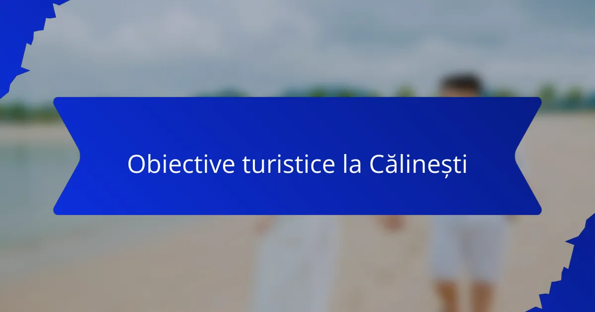 Obiective turistice la Călinești