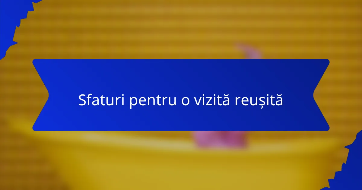 Sfaturi pentru o vizită reușită