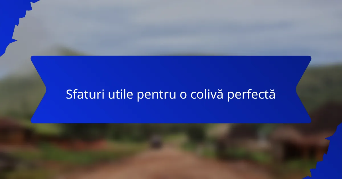 Sfaturi utile pentru o colivă perfectă